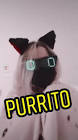 Profile Picture of   added my own little twists❤... (@sh0rt.artz) on Tiktok