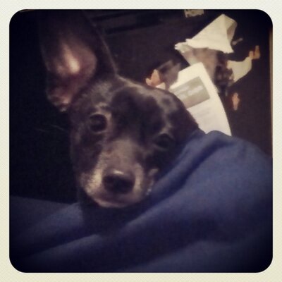 Profile Picture of Shelley Hultman (@hultman_shelley) on Twitter