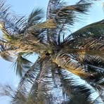 Profile Picture of Jacob Stowe (@Jacob-Stowe) on Facebook