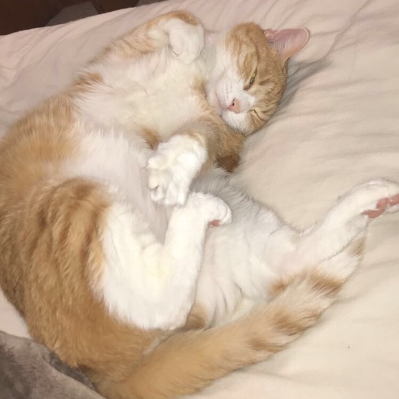 Profile Picture of Parker Marschel (@parkermmmm) on Poshmark