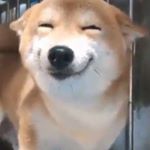 Profile Picture of Brian Elgin (@brian.elgin.7) on Instagram