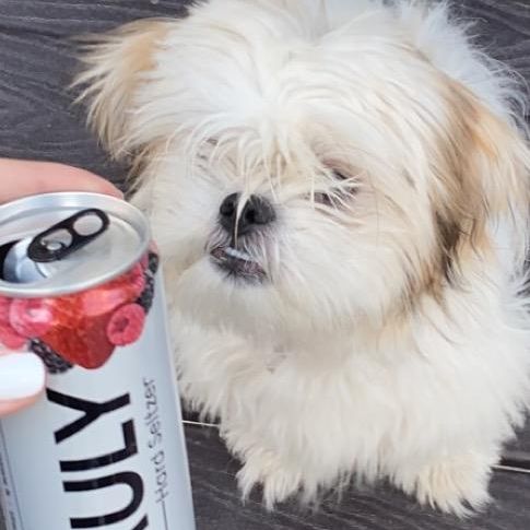 Profile Picture of NicoleEnriquez_ (@nicoleenriquez_) on Tiktok