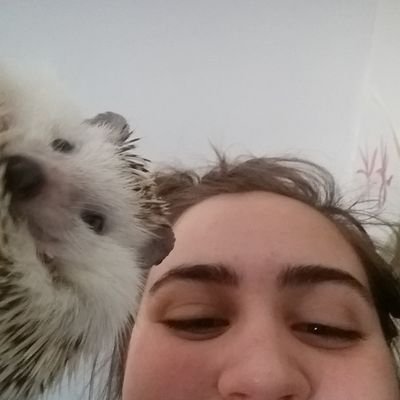 Profile Picture of Danielle / Amy Schumer (@daniellemodica3) on Twitter