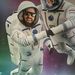 Profile Picture of Danny van der List (@dannyvanderlist) on Pinterest