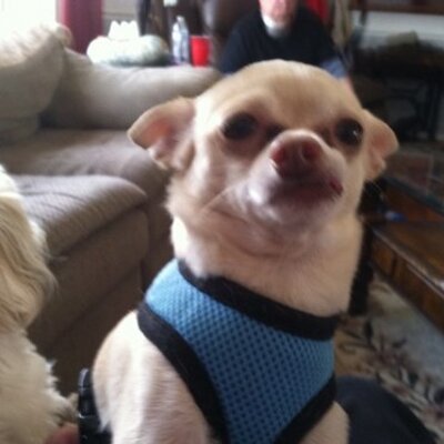 Profile Picture of Jo Wilt (@jo_wilt) on Twitter