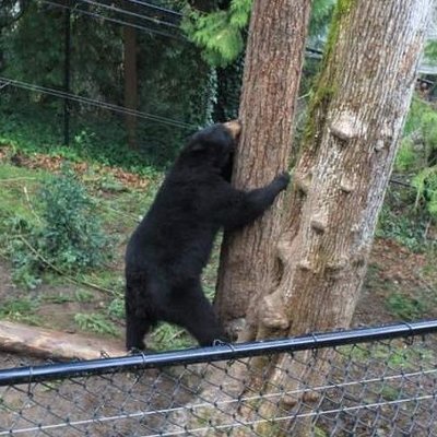 Profile Picture of Bert Sims (@80818588bert) on Twitter