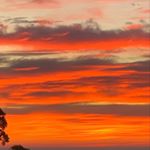 Profile Picture of Simon Upton 🇦🇺 (@simonuptonpics) on Instagram