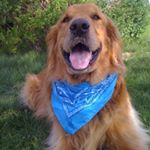 Profile Picture of Chris Irvine (@tylerdurdin1) on Instagram