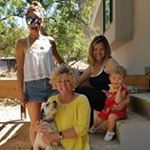 Profile Picture of Deborah Singleton (@shadyladyhome) on Instagram