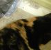 Profile Picture of John Moorman (@john.moorman.376) on Facebook