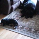 Profile Picture of Mark Levesque (@markdavidlevesque) on Instagram