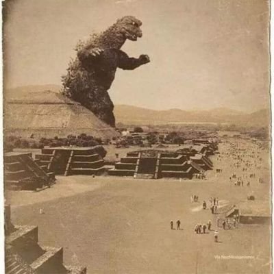 Profile Picture of 631 (@AdrianCastelo97) on Twitter