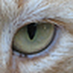 Profile Picture of Dean Wiley (@computermedicnc) on Flickr