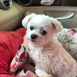 Profile Picture of Drew Stimson McWhorter (@drewstimsonmcwhorter) on Instagram