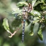 Profile Picture of Richard Gifford (@richard.gifford.96) on Instagram