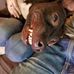 Profile Picture of Kevin Peel (@kevin.peel.167) on Facebook