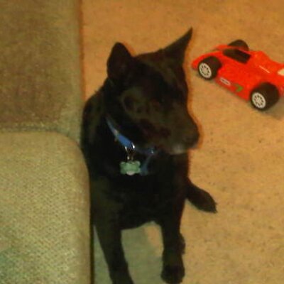 Profile Picture of Emily Kemper (@EmilyKemper) on Twitter