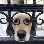 Profile Picture of Daniel Gorczynski (@daniel.gorczynski) on Instagram