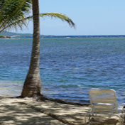 Profile Picture of Daniel Duan (@danielduan1611) on Youtube