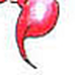 Profile Picture of Manuel Araujo (@manuelr45) on Flickr