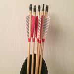 Profile Picture of Heathen_archer (@heathen.archer) on Instagram