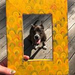 Jeremy Schock & Shark Shredder - Instagram Profile Picture of Jeremy Schock & Shark Shredder (@schocksharkstudios) on Instagram