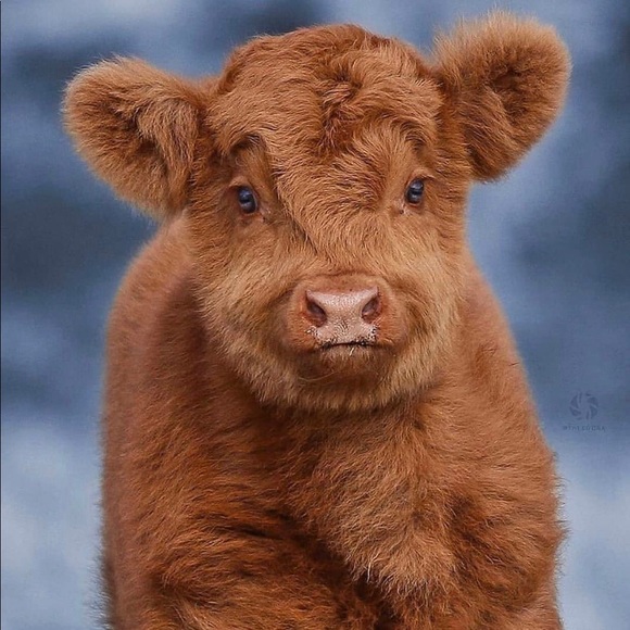 Profile Picture of Eric Lucero (@eric_lucero) on Poshmark