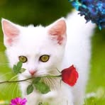 Ricky James - Facebook Profile Picture of Ricky James (@Ricky-James) on Facebook