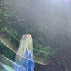 Profile Picture of alison keefe (@@alisonnnkeefe) on Tiktok
