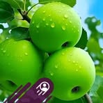 Profile Picture of Scott D Enock (@Scott-D-Enock) on Facebook