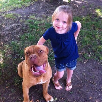 Profile Picture of josh bolan (@joshbolan) on Twitter