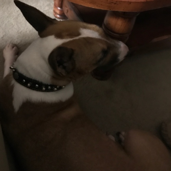 Profile Picture of Marcus Avalos (@markie7884) on Poshmark