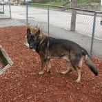 Profile Picture of Arthur Lapointe Jr. (@Arthur-Lapointe-Jr) on Facebook