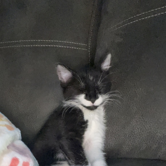 Profile Picture of Gabbie Grundhoffer (@brady5702) on Poshmark