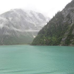 Profile Picture of Julie Roberts (@julierobs) on Pinterest