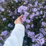 Profile Picture of liu xinling (@qingguibali) on Instagram