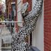 Profile Picture of Gregory Zielinski (@ahumanbarbecue) on Pinterest