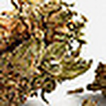 Profile Picture of Pablo Ignacio Quintanilla (@pablo ignacio.) on Flickr