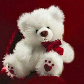 Profile Picture of Malleswari Reddy (@pamireddy_reddy) on Twitter