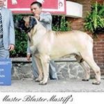 Profile Picture of Michael Piñón (@michael_di_pinon) on Instagram