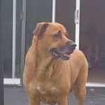 Buddy Stephens - Instagram Profile Picture of Buddy Stephens (@buddy.stephens.73) on Instagram