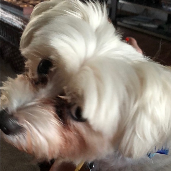 Profile Picture of Penny Alderin (@pennyalderin) on Poshmark