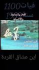 Profile Picture of   Tamer Mohamed... (@tamermohamed520) on Tiktok