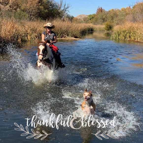 Profile Picture of Christy Lisle (@c_whitetiger) on Poshmark