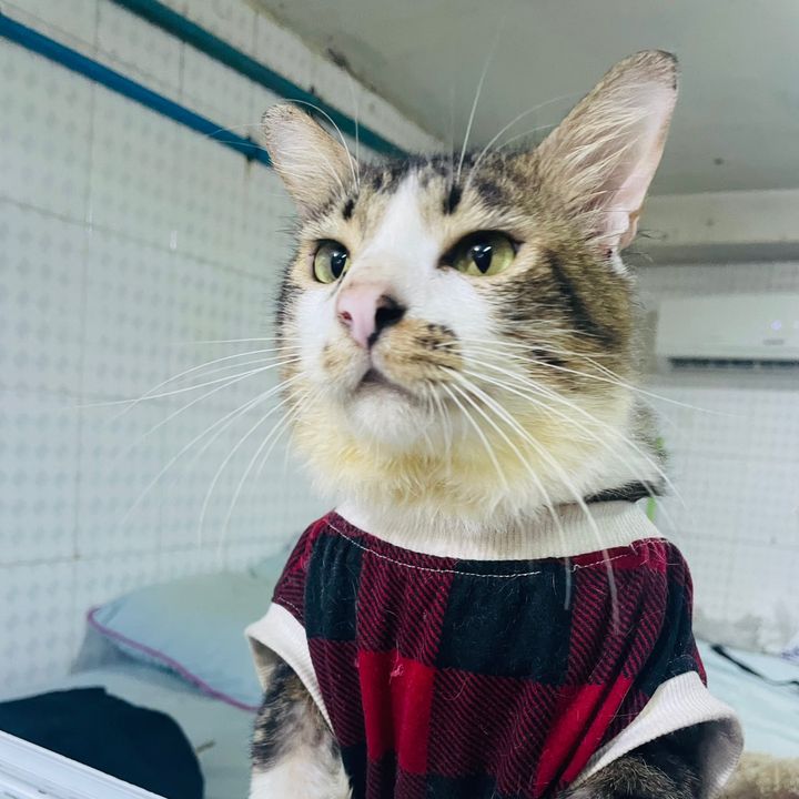 Profile Picture of Aster Khin (@suzilay52) on Tiktok