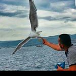 Profile Picture of Erol Kılıç (@erol_kilicc) on Instagram