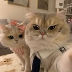 Profile Picture of Rawda Ahmed (@Rawda-Ahmed) on Facebook