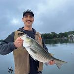 Profile Picture of Nicholas Sullivan (@n.sullivan1) on Instagram