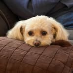 Profile Picture of Lorraine Perkins (@Lorraine-Perkins) on Facebook