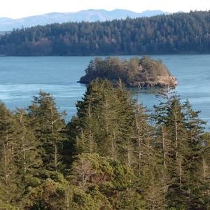 Profile Picture of Andrew Watrous (@watrous_andrew) on Twitter